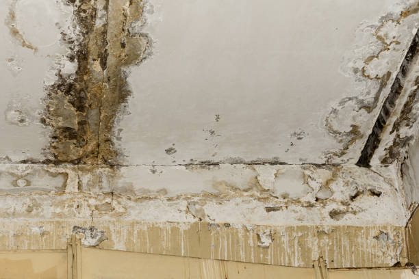 Water damage restoration